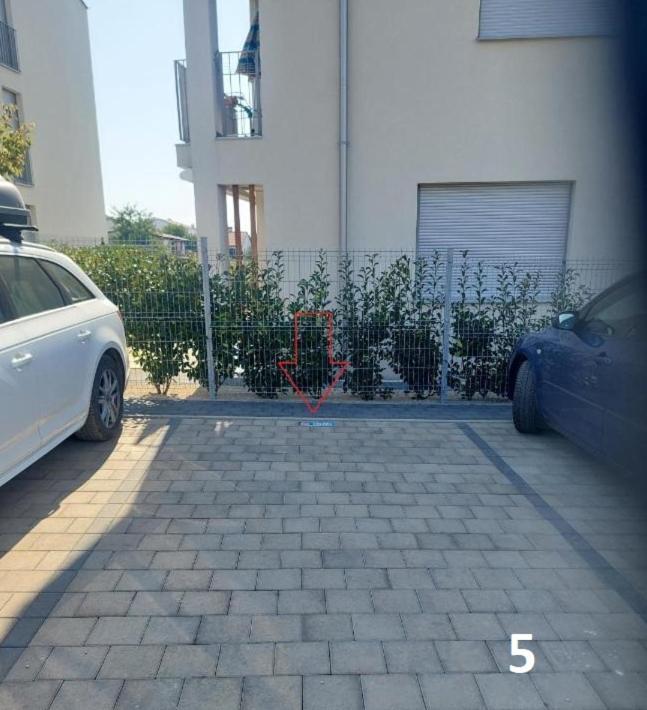Lu Umag